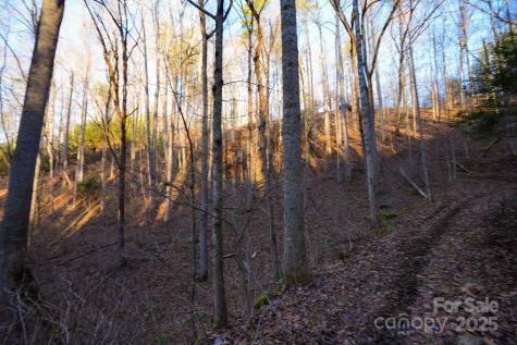 Tbd White Oak Road Waynesville NC 28785