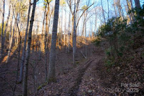 Tbd White Oak Road Waynesville NC 28785