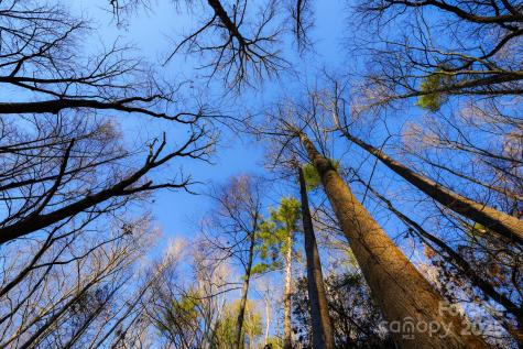 Tbd White Oak Road Waynesville NC 28785