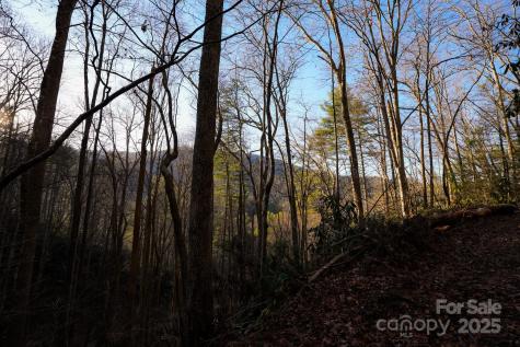 Tbd White Oak Road Waynesville NC 28785