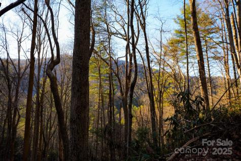 Tbd White Oak Road Waynesville NC 28785