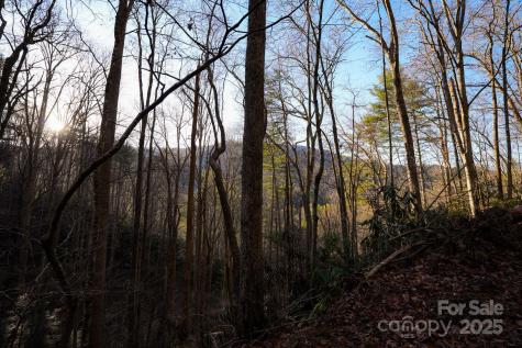 Tbd White Oak Road Waynesville NC 28785