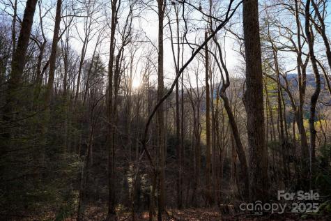 Tbd White Oak Road Waynesville NC 28785