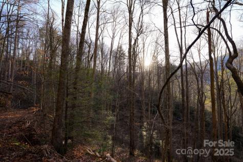 Tbd White Oak Road Waynesville NC 28785