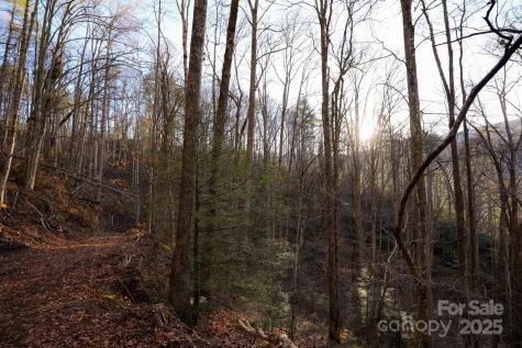 Tbd White Oak Road Waynesville NC 28785