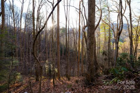 Tbd White Oak Road Waynesville NC 28785