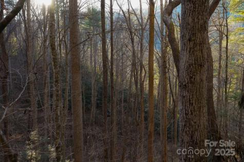 Tbd White Oak Road Waynesville NC 28785