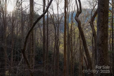 Tbd White Oak Road Waynesville NC 28785