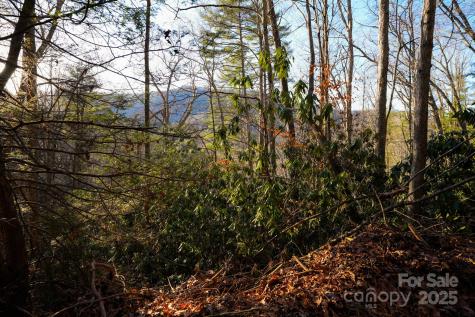 Tbd White Oak Road Waynesville NC 28785