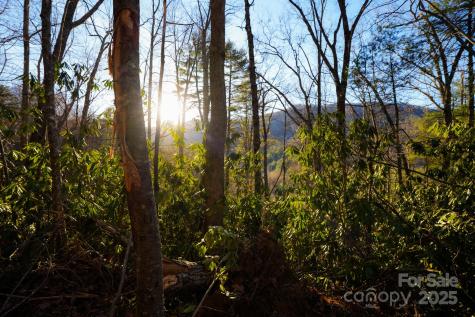 Tbd White Oak Road Waynesville NC 28785