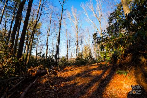 Tbd White Oak Road Waynesville NC 28785
