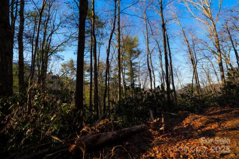 Tbd White Oak Road Waynesville NC 28785