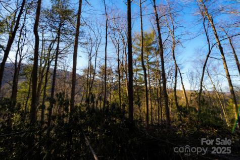 Tbd White Oak Road Waynesville NC 28785