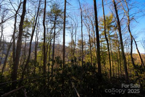 Tbd White Oak Road Waynesville NC 28785