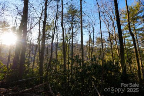 Tbd White Oak Road Waynesville NC 28785