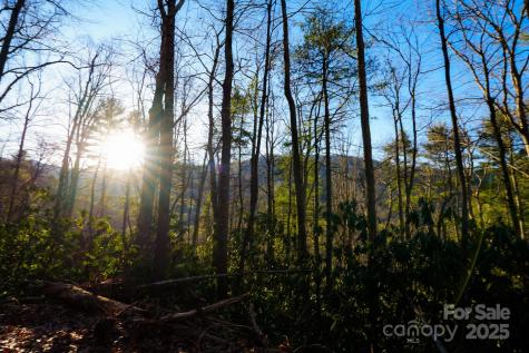 Tbd White Oak Road Waynesville NC 28785