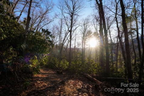 Tbd White Oak Road Waynesville NC 28785