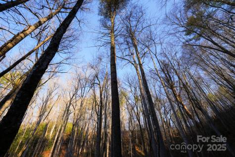 Tbd White Oak Road Waynesville NC 28785