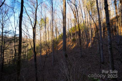 Tbd White Oak Road Waynesville NC 28785