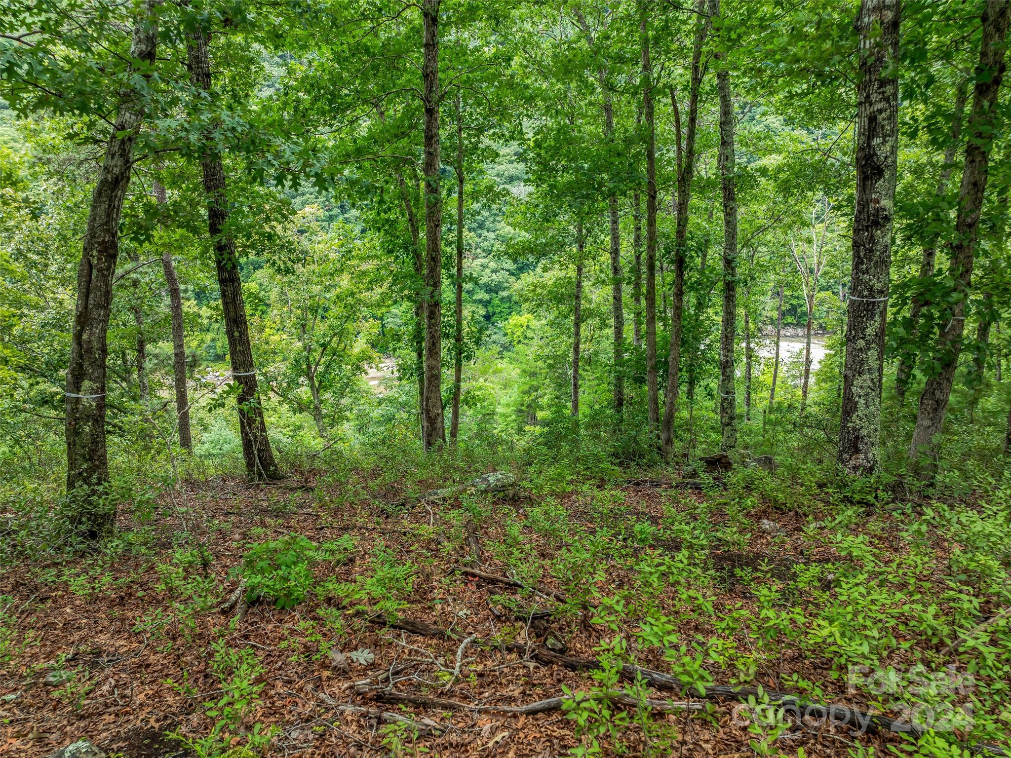 4155 French Broad Parkway Marshall NC 28753