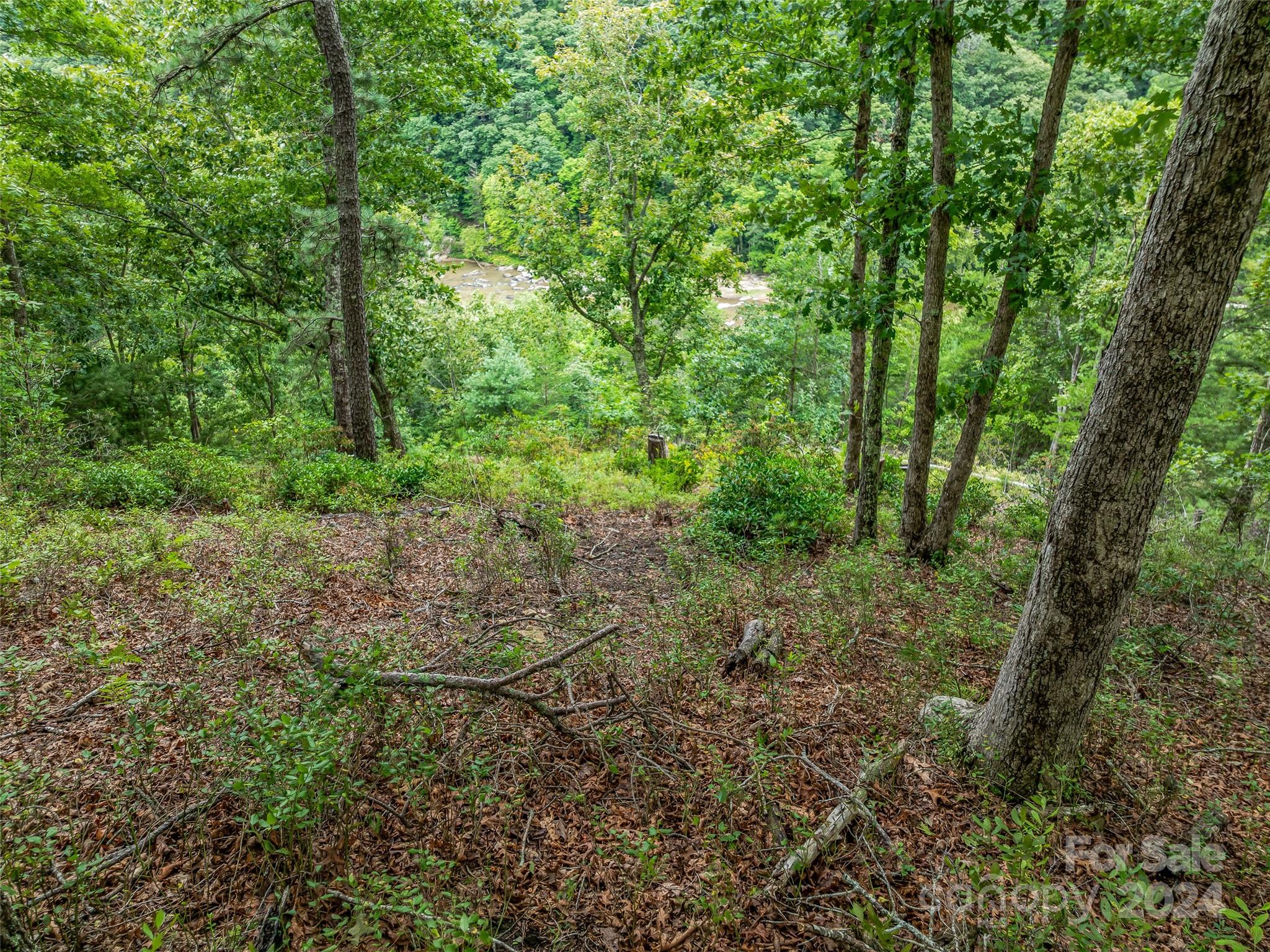 4155 French Broad Parkway Marshall NC 28753