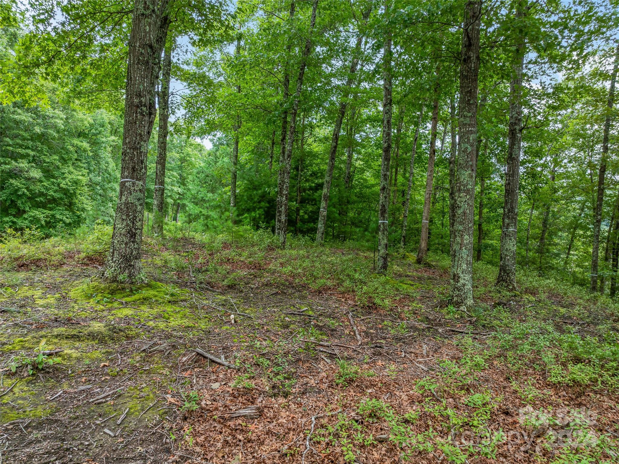 4155 French Broad Parkway Marshall NC 28753