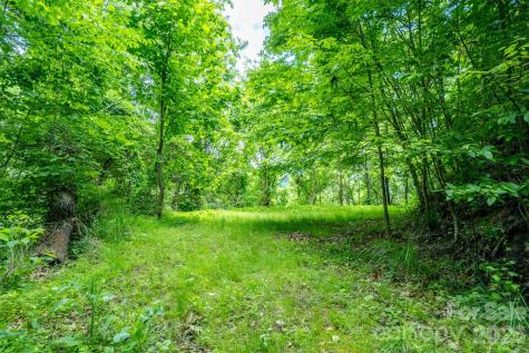 15 Larkspur Way Mars Hill NC 28754