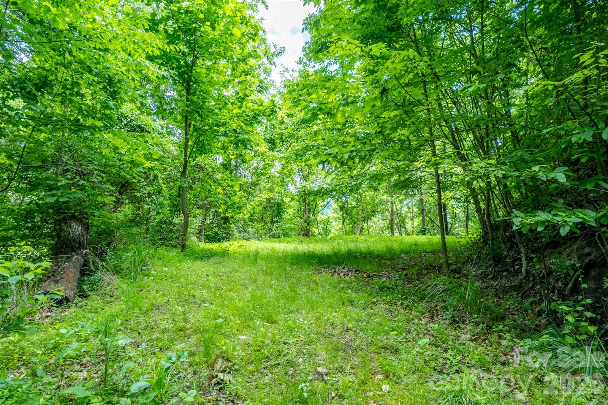 15 Larkspur Way Mars Hill NC 28754