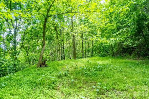 15 Larkspur Way Mars Hill NC 28754