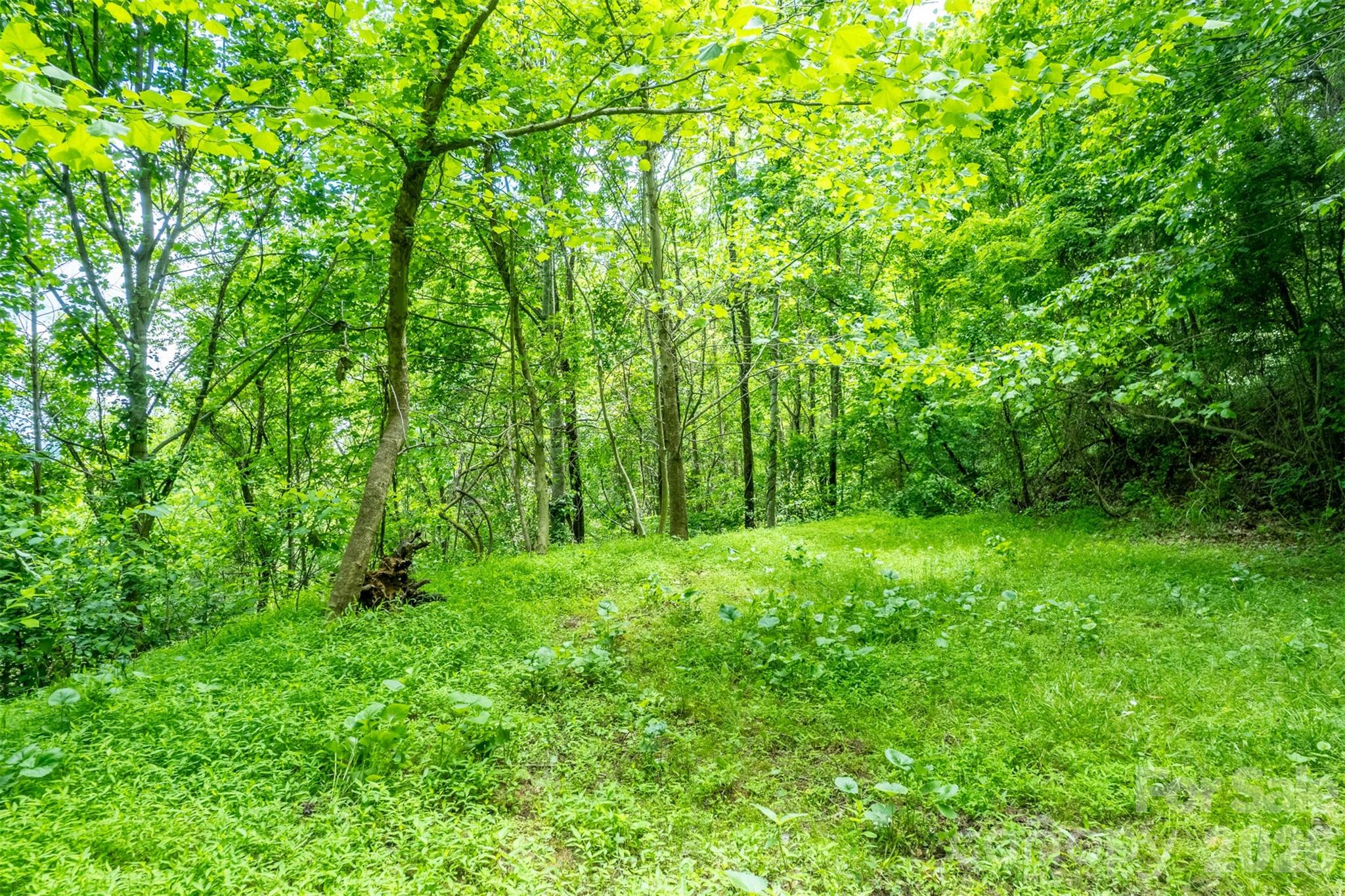 15 Larkspur Way Mars Hill NC 28754