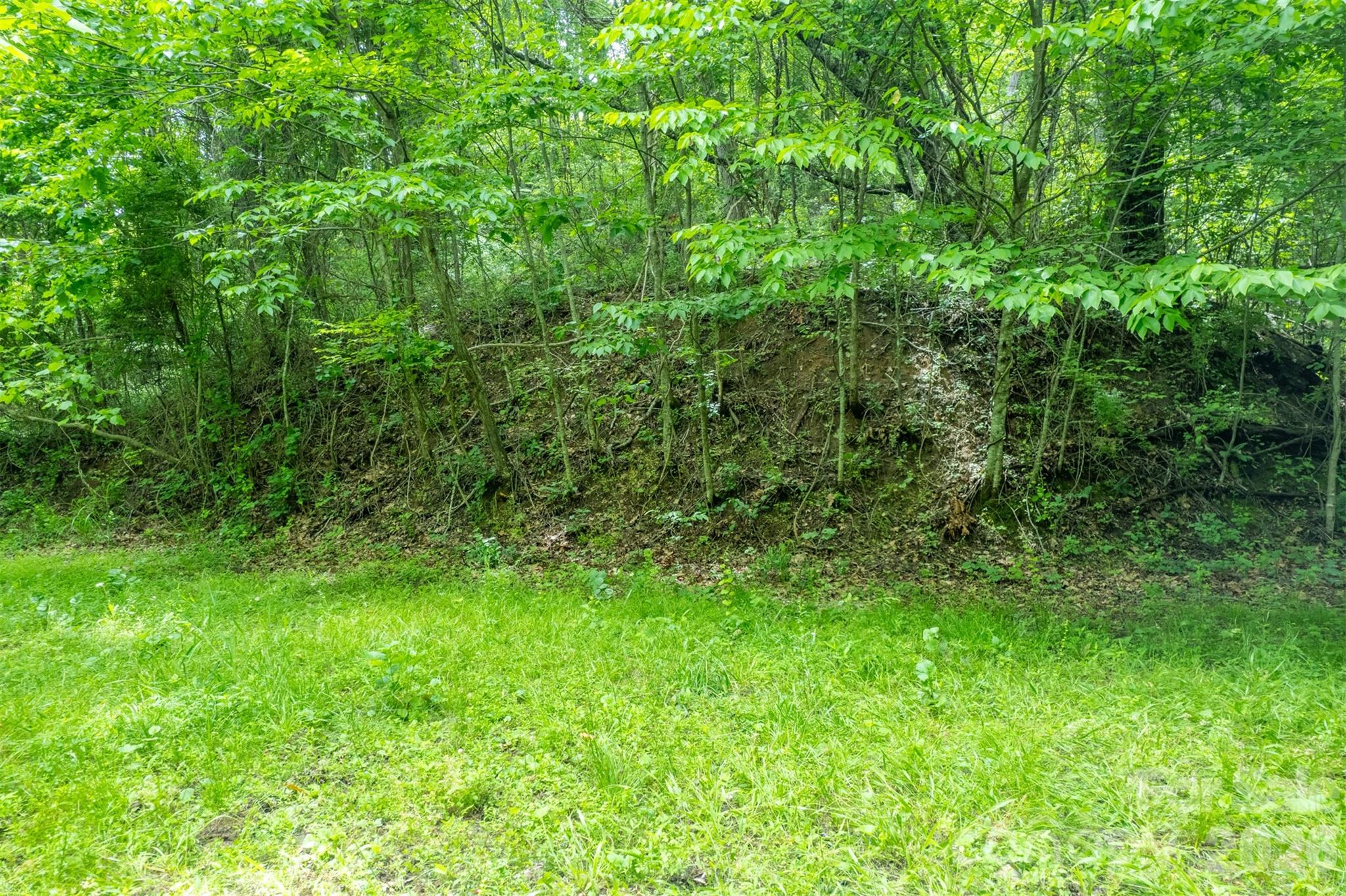 15 Larkspur Way Mars Hill NC 28754