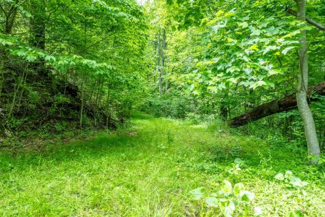 15 Larkspur Way Mars Hill NC 28754