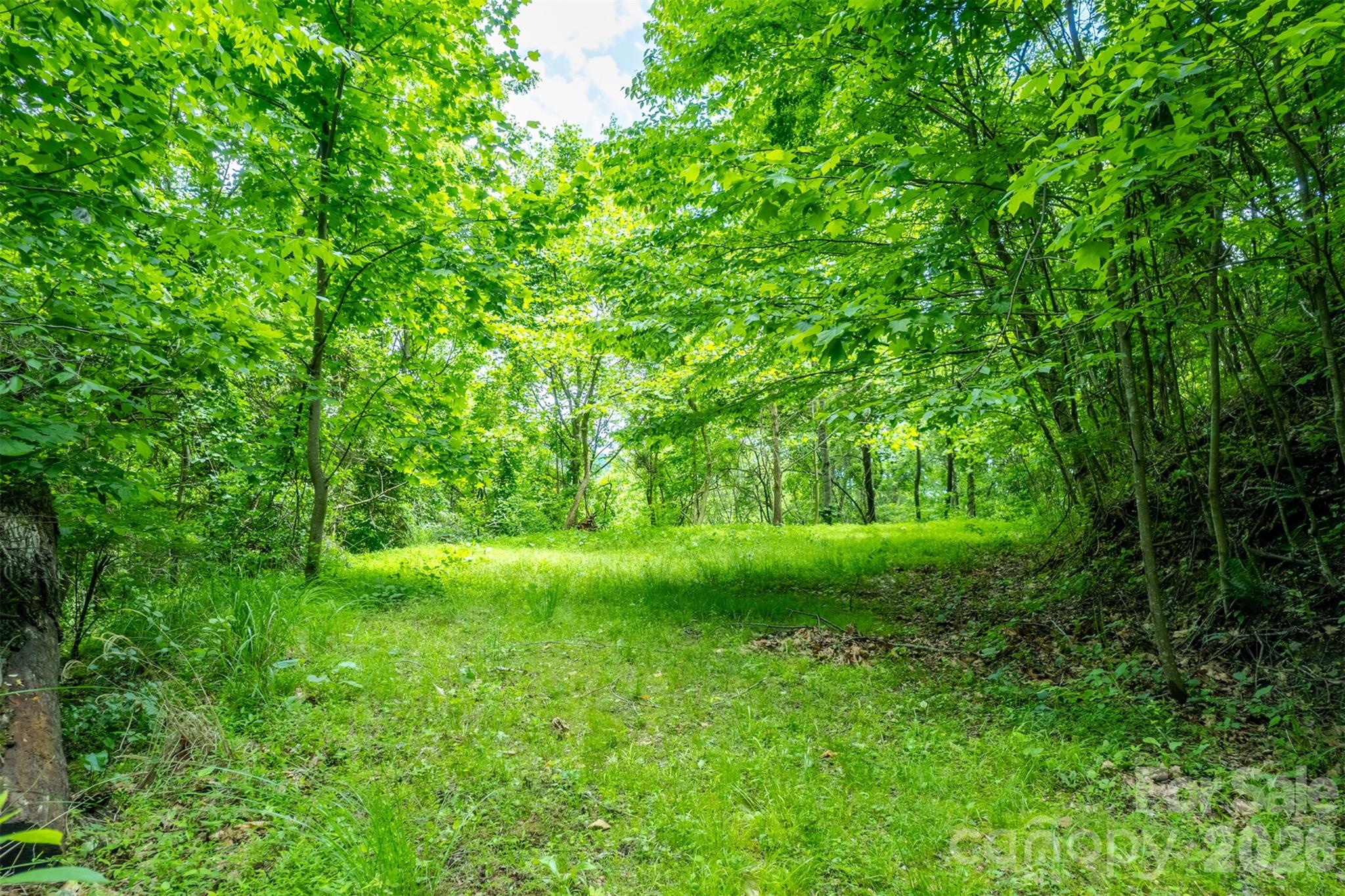15 Larkspur Way Mars Hill NC 28754
