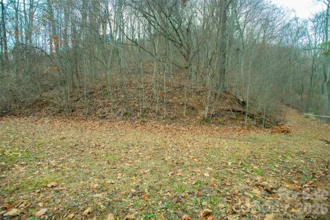 15 Larkspur Way Mars Hill NC 28754