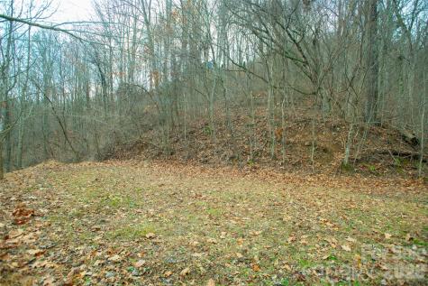 15 Larkspur Way Mars Hill NC 28754