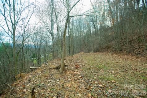 15 Larkspur Way Mars Hill NC 28754