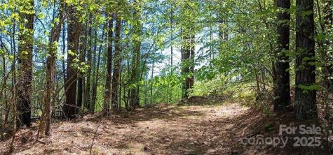 158 Table Rock Trace NW Valdese NC 28690