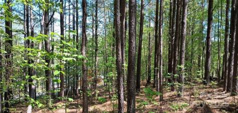 158 Table Rock Trace NW Valdese NC 28690