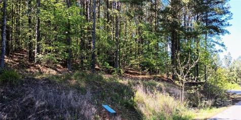 158 Table Rock Trace NW Valdese NC 28690