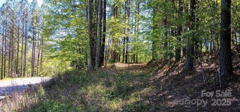 158 Table Rock Trace NW Valdese NC 28690