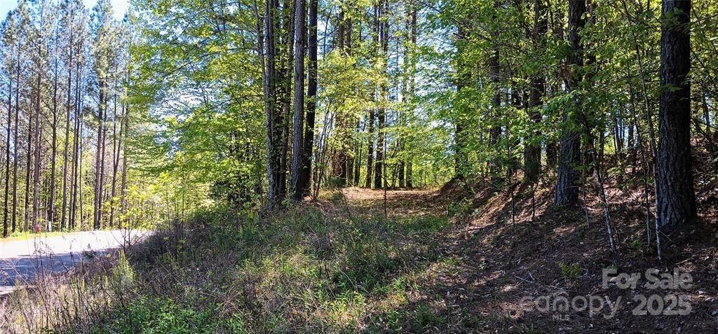 158 Table Rock Trace NW Valdese NC 28690