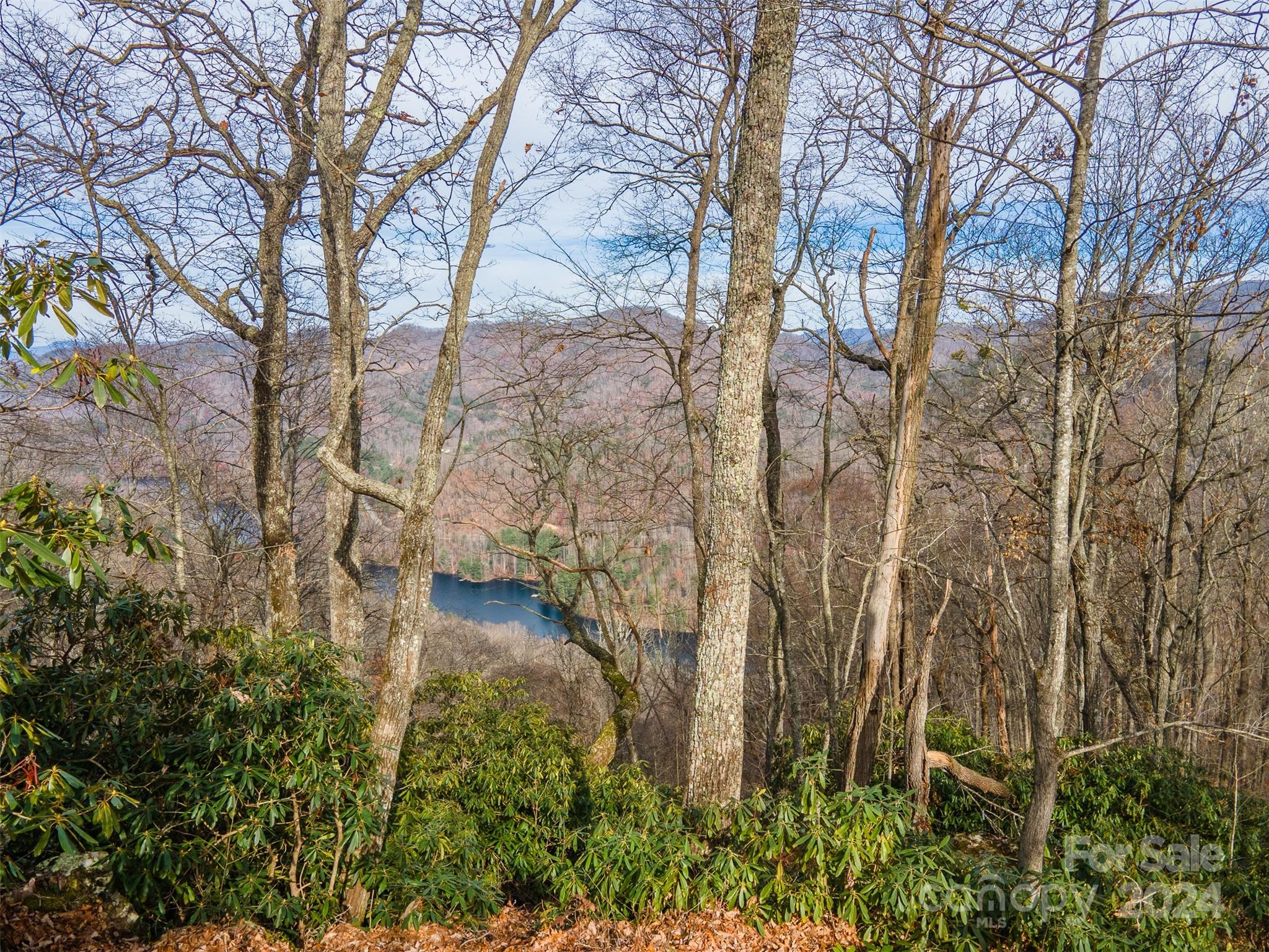 520 Morningside Drive Tuckasegee NC 28783
