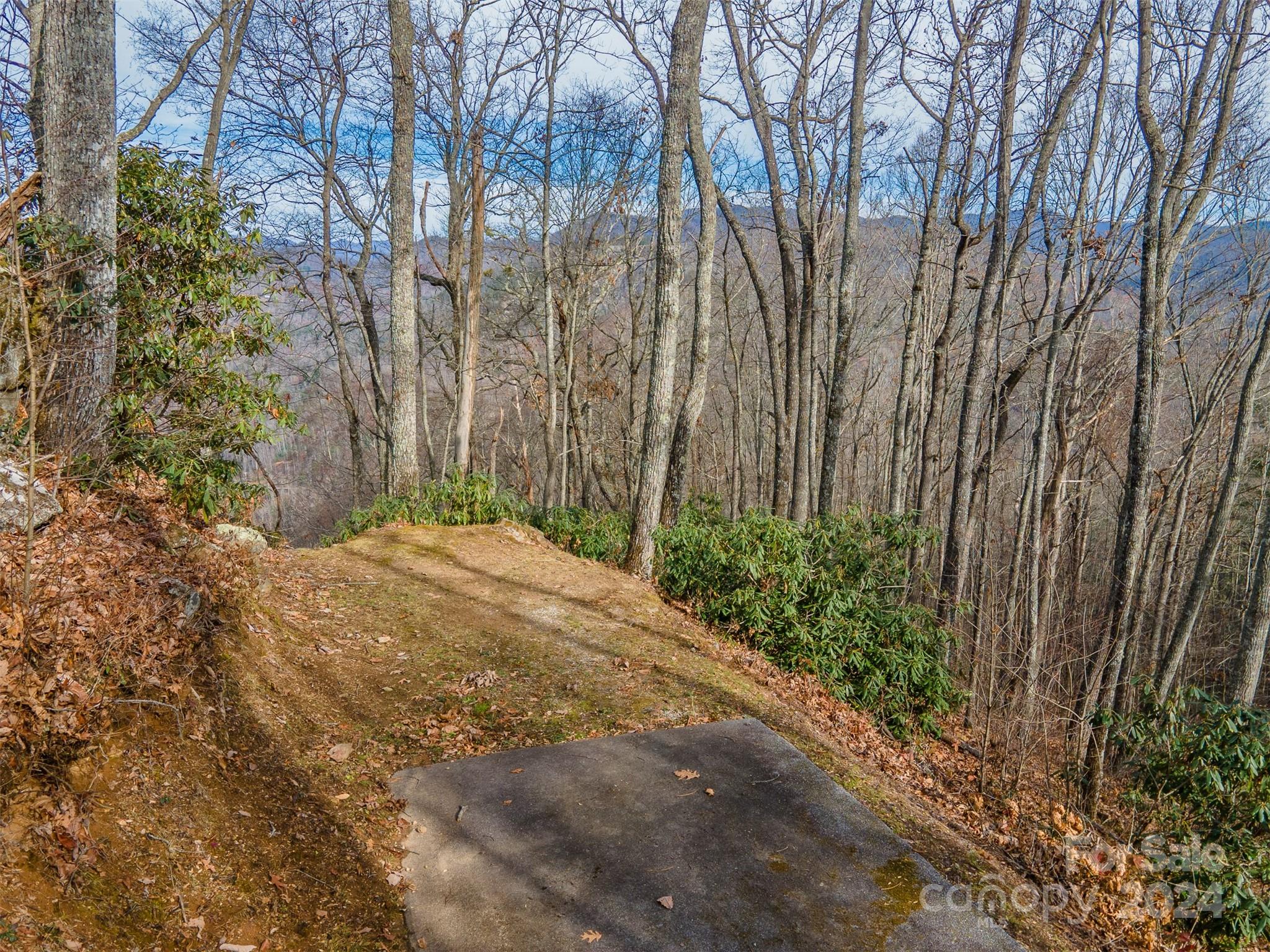 520 Morningside Drive Tuckasegee NC 28783
