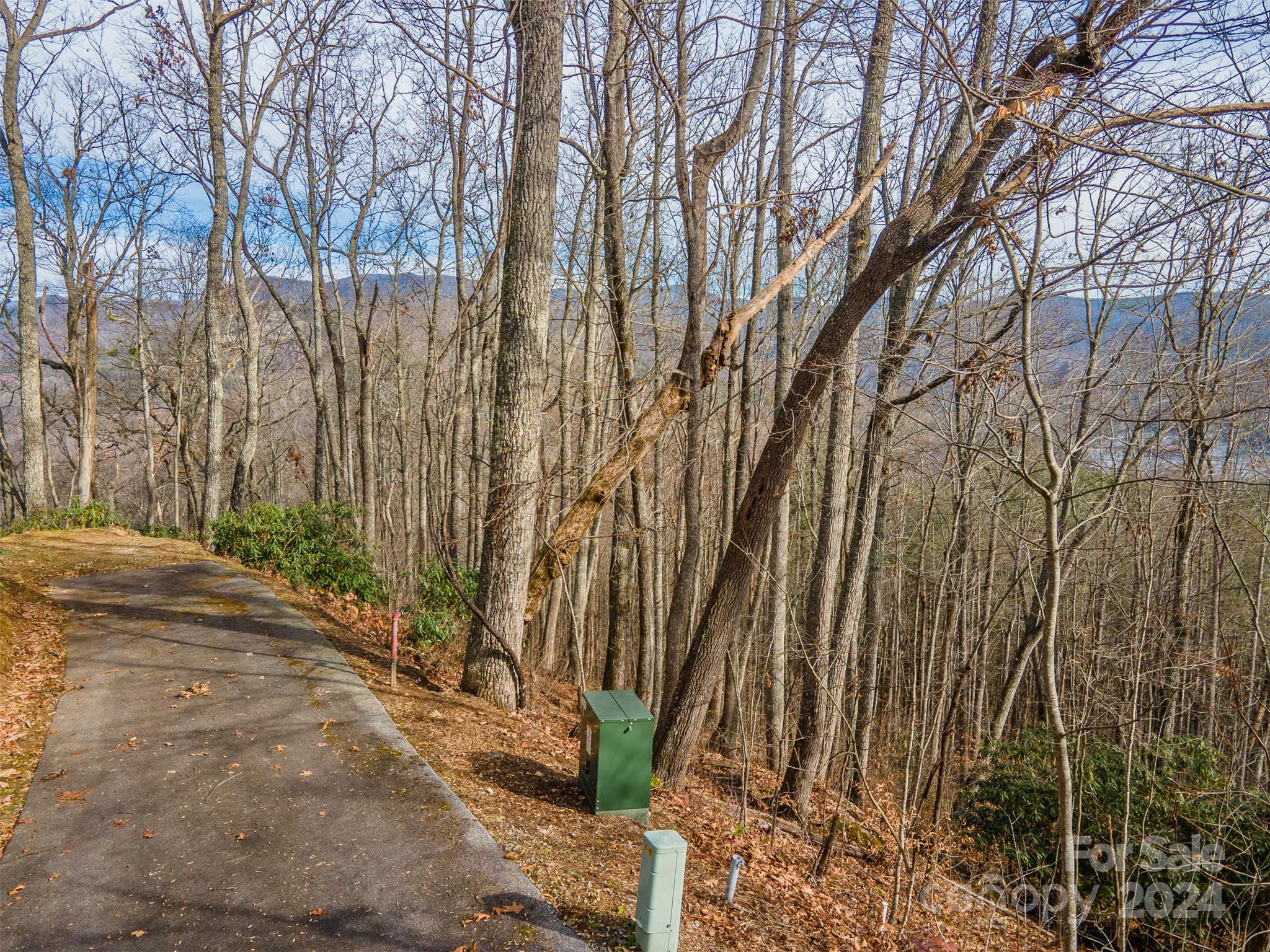 520 Morningside Drive Tuckasegee NC 28783
