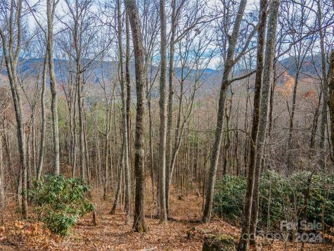 520 Morningside Drive Tuckasegee NC 28783