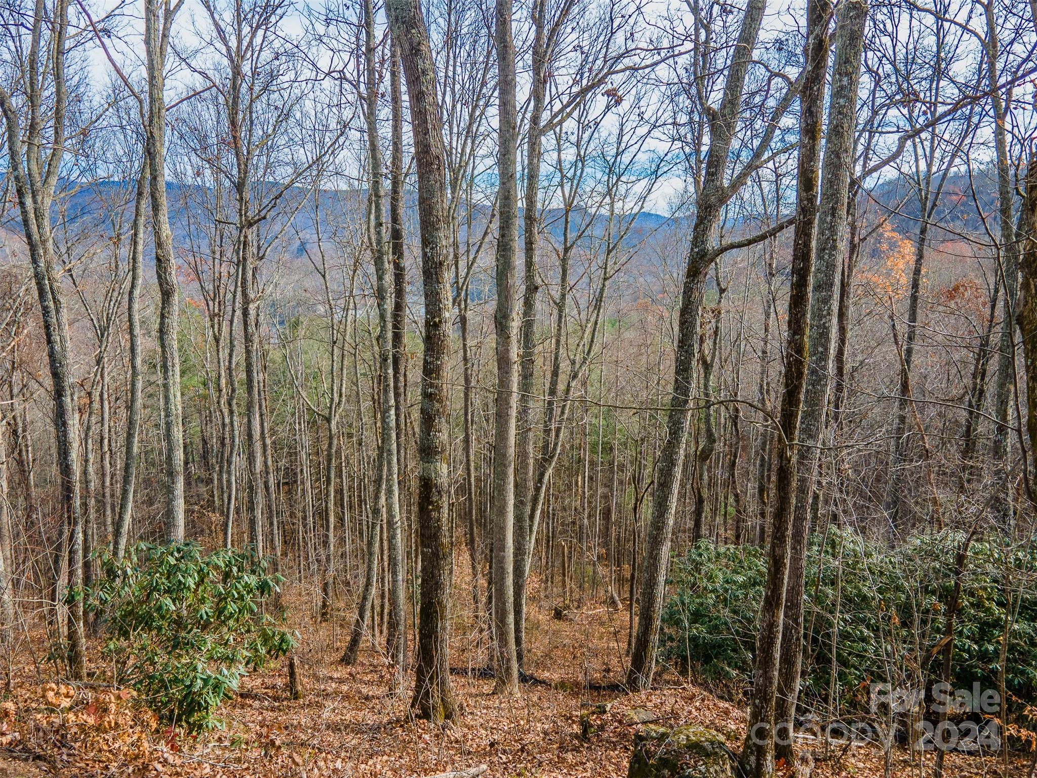 520 Morningside Drive Tuckasegee NC 28783
