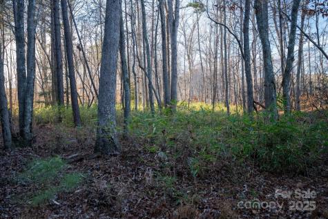 164 Linderman Lake Lane Kings Mountain NC 28086