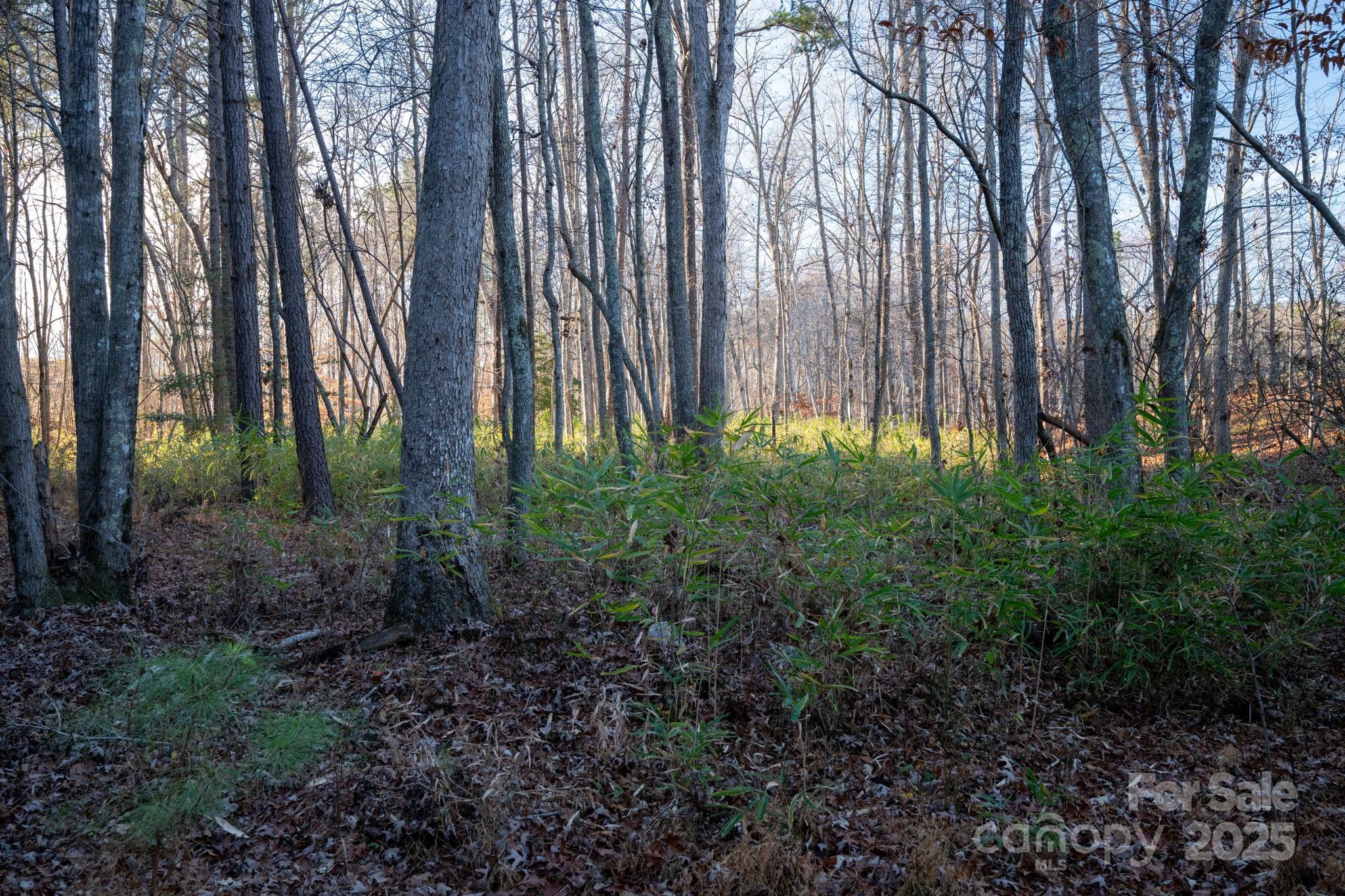 164 Linderman Lake Lane Kings Mountain NC 28086