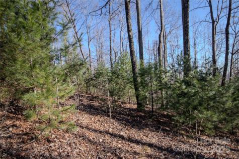2221 Nighthawk Ridge Court Lenoir NC 28645