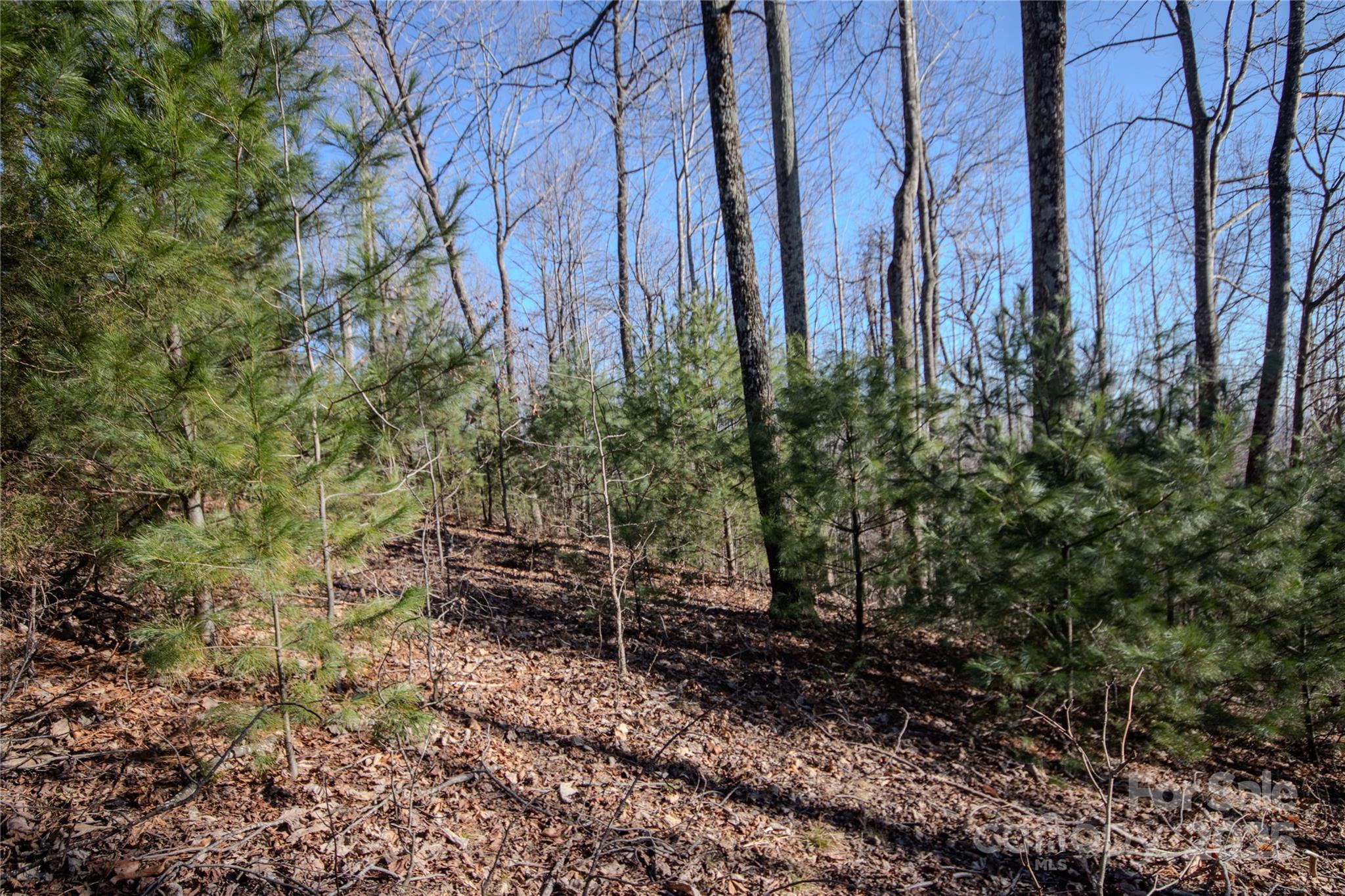 2221 Nighthawk Ridge Court Lenoir NC 28645